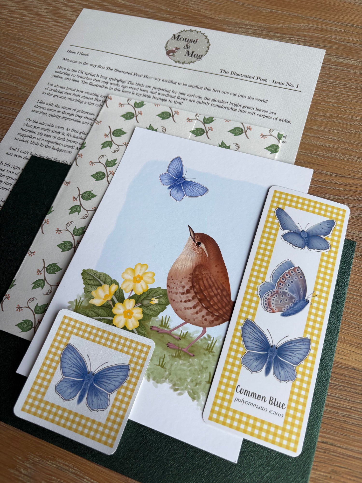 The Illustrated Post from Mouse & Meg